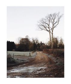 a dirt road with trees and grass in the background