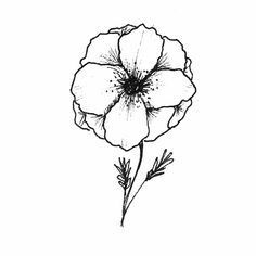 a black and white drawing of a flower