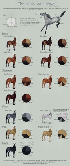 the different types of horses are shown in this diagram, which shows them's colors