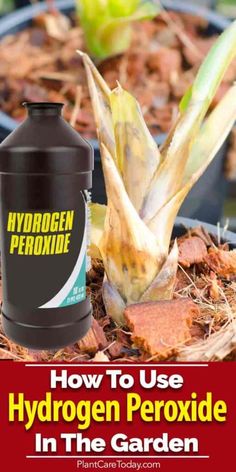 how to use hydrogen peroxide in the garden