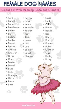 a pink and white poster with the words female dog names