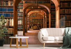 a living room filled with lots of books on top of a book shelf next to a white couch