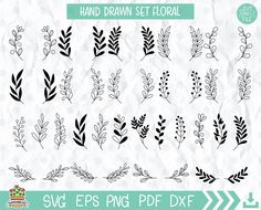 hand drawn set floral design elements