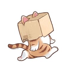 a cat with a cardboard box on its head