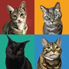 four different colored cats with green eyes and one black cat, the other brown and white