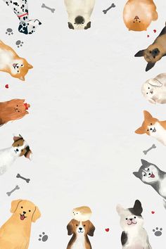 a group of dogs and cats standing in the middle of a circle with paw prints on it