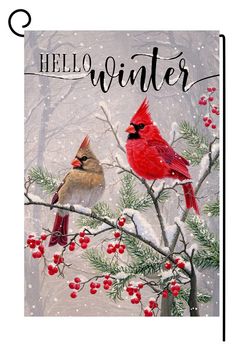 two red birds perched on top of a tree branch covered in snow and berries next to each other