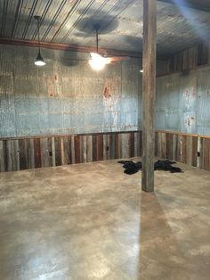 two black birds are laying on the floor in an empty room with exposed wood beams