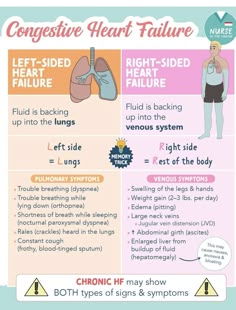 Med Surg Nursing Cardiovascular, Cardiogenic Shock Nursing, Cardiac Pathophysiology, Paramedic Pathophysiology, Cardiac Catherization Nursing, Nurse In The Making, Geriatric Nursing, Cardiogenic Shock Pathophysiology