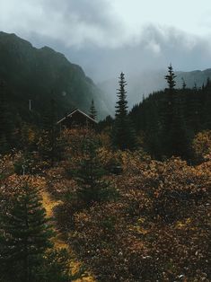 a small cabin in the middle of a forest with mountains in the backgroud