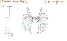 a drawing of a bird with wings on it's back and the words standing wing flap