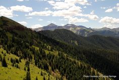 the mountains are covered in green grass and pine trees, with white clouds above them