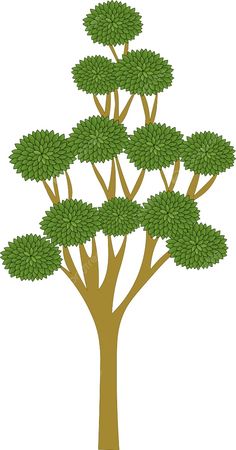 a tree with green leaves on the top and bottom branches, in front of a white background