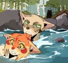 two cats are swimming in the water together