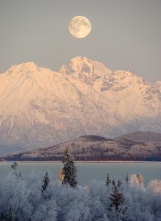 the full moon is setting over a mountain range with trees and snow covered mountains in the foreground