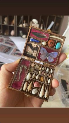 a person holding an open box filled with different types of jewelry and seashells