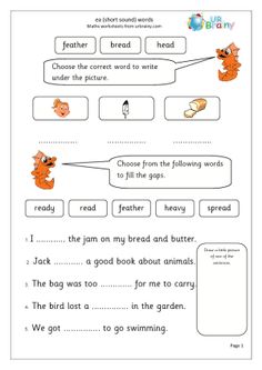 the worksheet for reading and writing with animals on it, including an orange cat