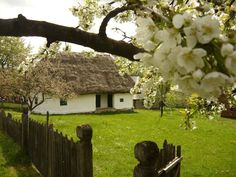 an old thatched roof house with white flowers in the foreground and a wooden fence around it