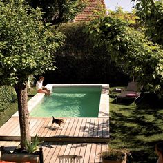 a person sitting on the edge of a swimming pool with a dog in front of it