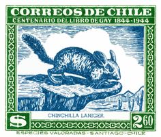 a postage stamp with a rabbit on it's back and the words, correos de chile