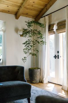 a living room filled with furniture and a potted plant