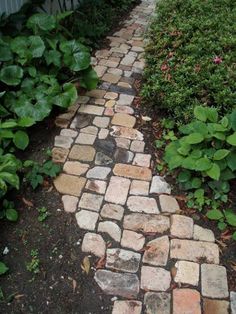 a stone path in the middle of a garden