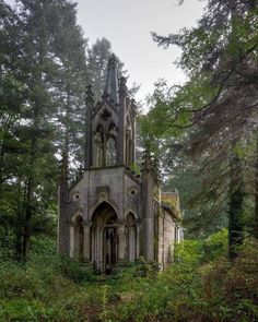 an old church in the middle of a forest