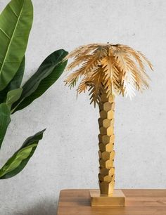 a tall palm tree sitting on top of a wooden table next to a potted plant