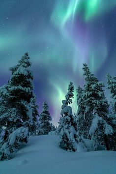 the northern lights shine brightly in the sky above snow covered trees