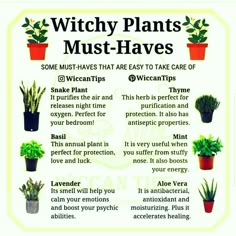 a poster with some plants in pots and the words witch plants must haves