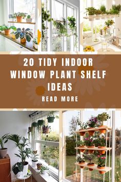 20 Tidy Indoor Window Plant Shelf Ideas Indoor Plants Decor Window, Window Planter Shelves, Window Herb Garden Indoor Plant Shelves, Indoor Garden Rooms Small Spaces, Diy Plant Stand Indoor Window, Plants In Bedroom Ideas Small Spaces, Plants In Window Ideas, Window Herb Garden Indoor, Window Garden Indoor