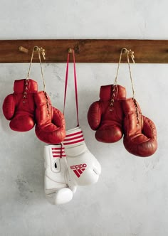 red and white boxing gloves hanging from hooks