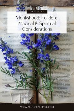 Step into the shadowy lore of 🌑 Monkshood in 'Folklore, Magickal & Spiritual Considerations.' Discover this plant's enigmatic history, potent magic, and the caution it demands due to its toxicity. 🚫✨ Ideal for the knowledgeable witch, delve into its uses in protection spells and connecting with deeper realms, while respecting its power. Embrace the mystique of Monkshood with reverence and wisdom. 🛡️🔮" British Folklore, Herbal Education, Medicinal Garden, Spiritual Work