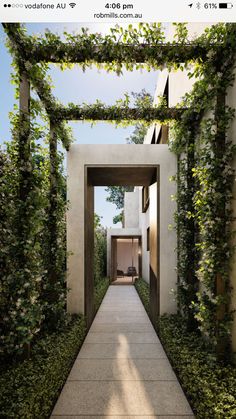 an outdoor walkway is surrounded by greenery