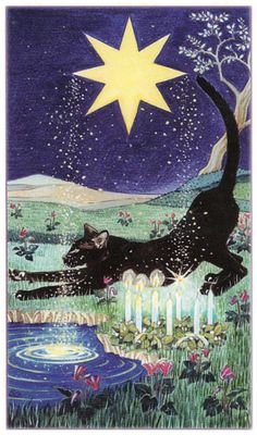 a black cat standing on its hind legs in front of a night sky with stars above it