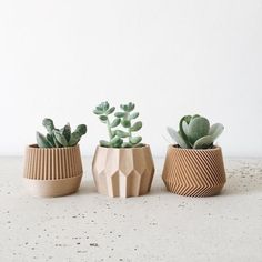 three ceramic planters with succulents in them sitting on a table top