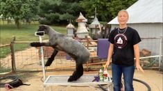 a woman standing next to a gray and black cat on top of a table in front of a fence