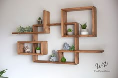 three wooden shelves with plants and rocks in them on the wall above a potted plant