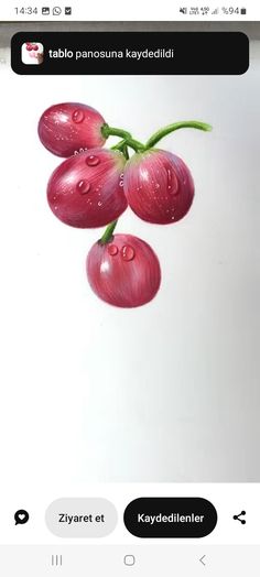 an image of grapes with water drops on them