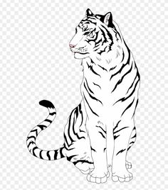 a black and white tiger sitting down