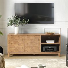 a living room with a large television on the wall and a plant in front of it