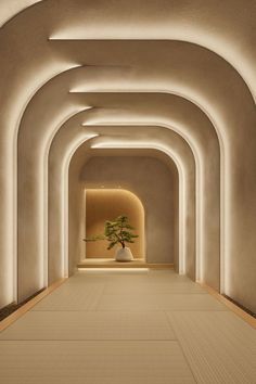 an empty room with white walls and lights on the ceiling, along with a plant in a pot