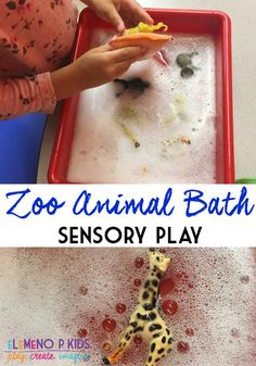 the zoo animal bath is an easy and fun activity for toddlers to play with