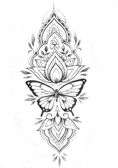 a drawing of a butterfly with intricate designs on it