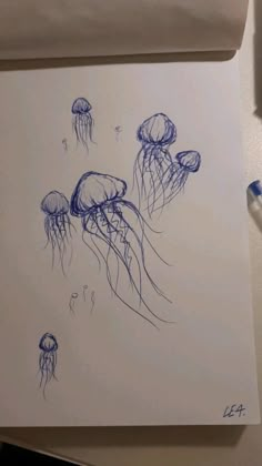 a drawing of jellyfish in blue ink