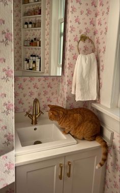 an orange cat sitting on top of a bathroom sink