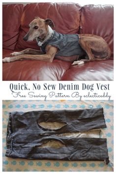 a dog laying on top of a couch next to a pair of jeans with holes in them