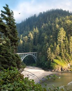 a bridge over a river in the middle of a forest with trees on both sides