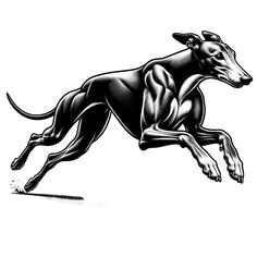 a black and white drawing of a dog running with it's front legs spread out