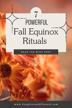 orange flowers with the words powerful fall equinnox rituals read the blog post